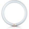 G10q 32W 830 ring-lysstofrør Master Circular TL-E