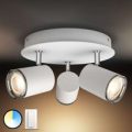 Philips Hue White Ambiance LED-loftlampe