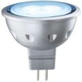 GU5,3 MR16 5,5W 30° 865 LED reflektor pære